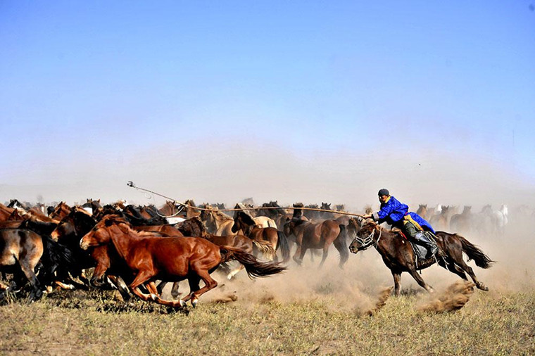 奔赴内蒙古，开启马背之旅(图3)