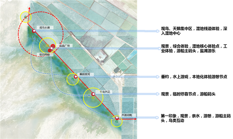察尔汗盐湖湿地景观平台(图4)