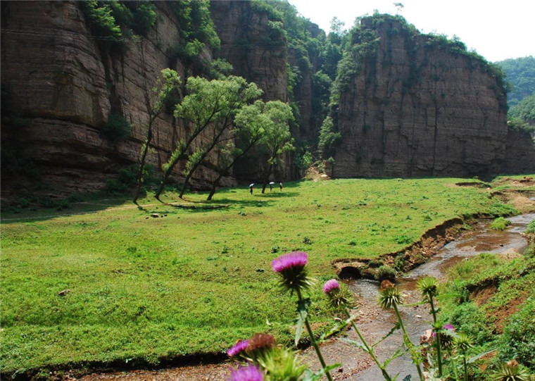 河南青要山艺术康养基地(图3)