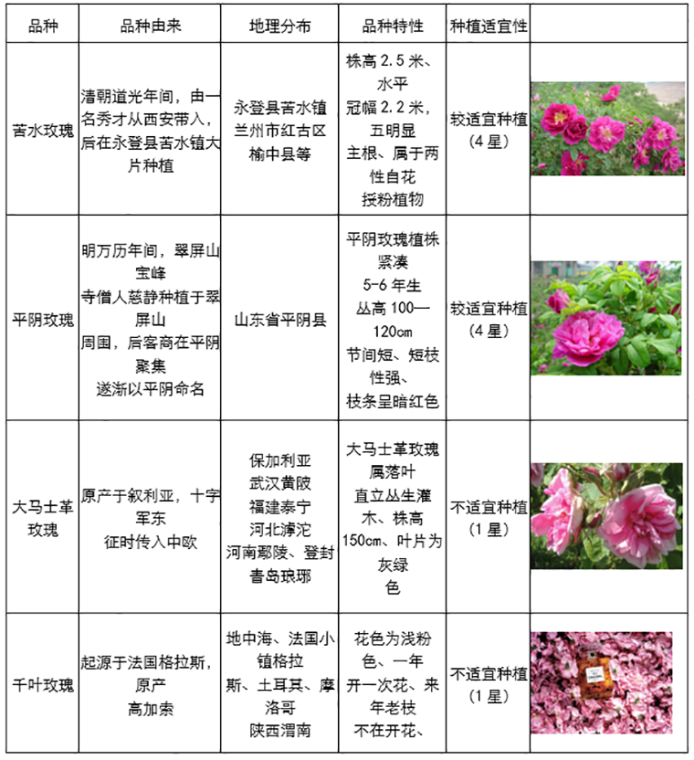 内蒙古磨子山景区玫瑰康养基地及延伸旅游产品(图3)