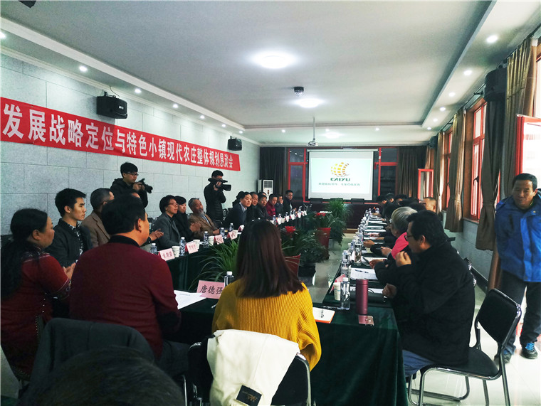 同创文旅创应邀参加《大兴区采育镇铜佛寺村发展战略与特色小镇现代农庄整体规划》研讨会(图2)