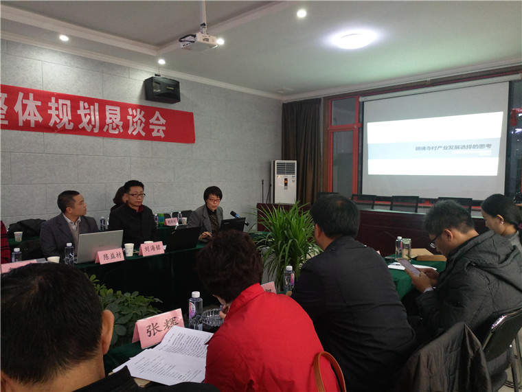 同创文旅创应邀参加《大兴区采育镇铜佛寺村发展战略与特色小镇现代农庄整体规划》研讨会(图3)