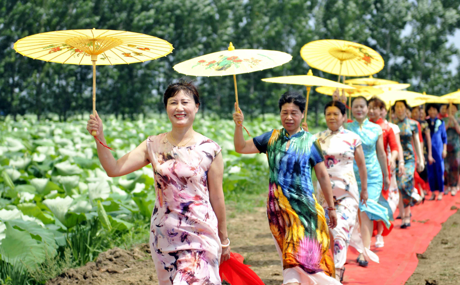 艺术康养，小人群拉动大产业(图4)