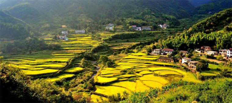 乡村振背景下，乡村旅游经营新模式你造吗？(图1)