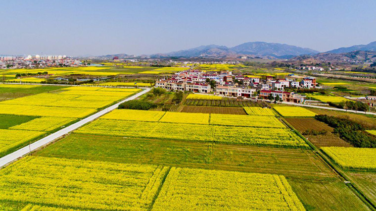 乡村振兴专题| 乡村景观意境营造(图3)