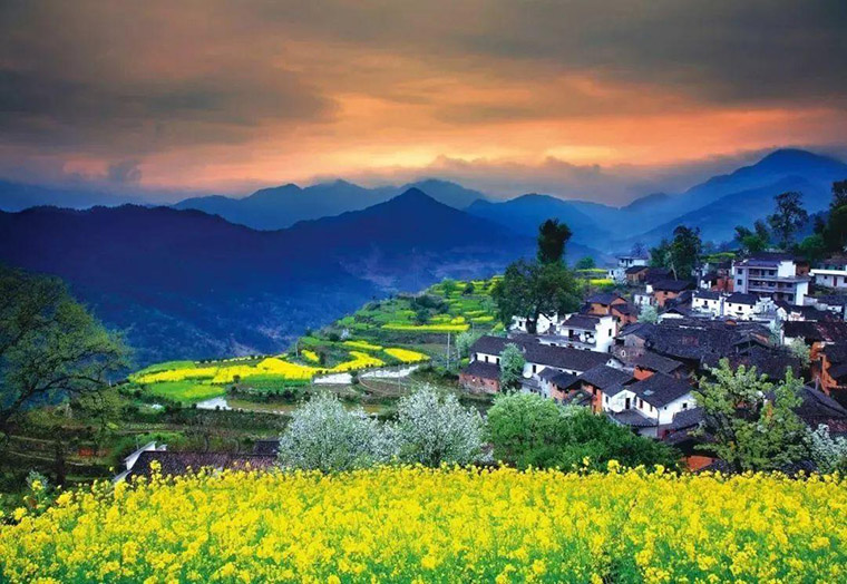 乡村振兴专题| 乡村景观意境营造(图4)
