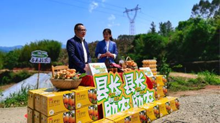 乡村振兴专题|代言家乡谁更强？“网红”赋能乡村振兴(图3)