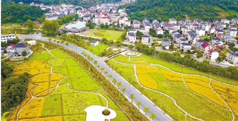 乡村振兴专题|土地，不该成为乡村振兴的一道坎(图1)