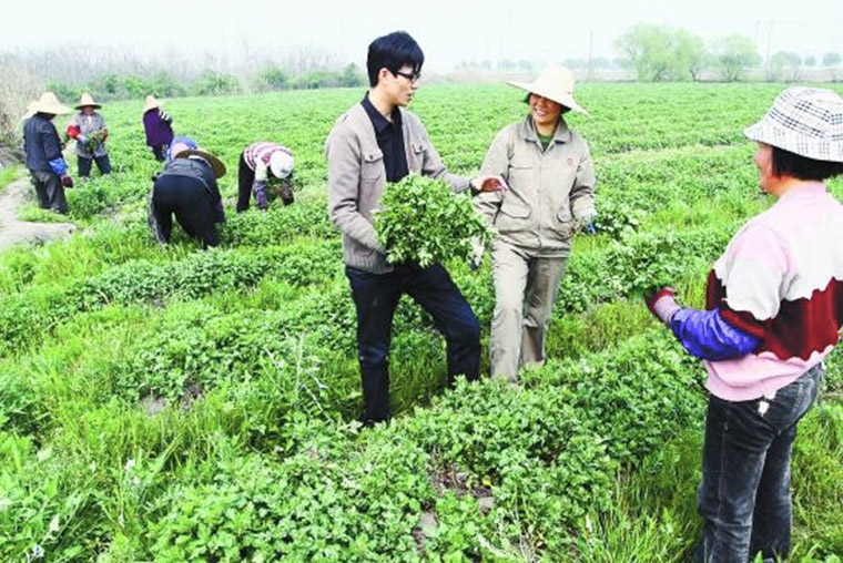 我的乡愁，你的乡愁(图2)