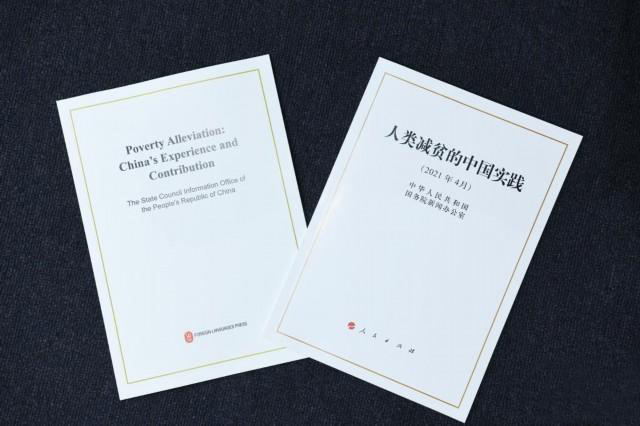 巩固脱贫攻坚成果，统筹推进乡村振兴战略(图1)