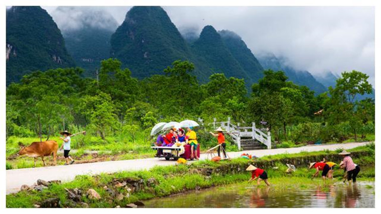 综艺成为旅游风向标(图2)
