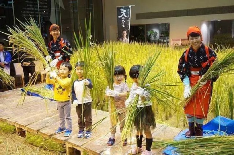 都市农场——城市里的田园向往(图7)