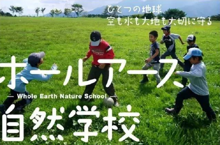 研学旅行︱行万里路，读万卷书(图5)