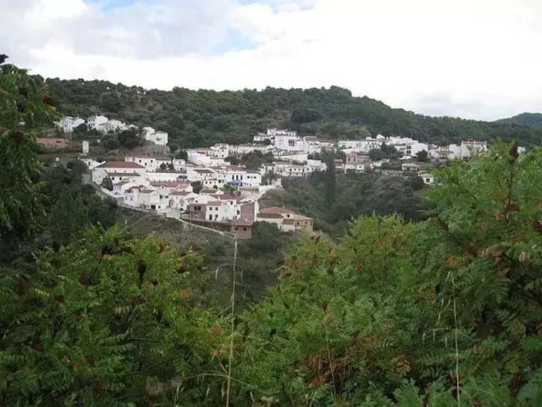 3-210P221530D50.jpg